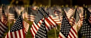American Flags - Tax Freedom Day